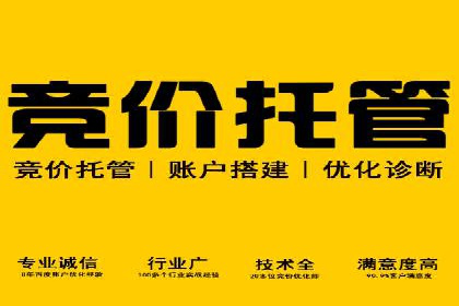 SEM托管服务案例：打造全方位营销解决方案